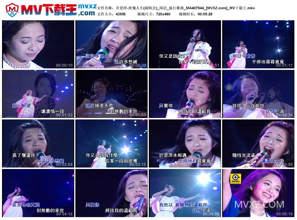 许景淳-玫瑰人生(演唱会)_国语_流行歌曲_MA407544